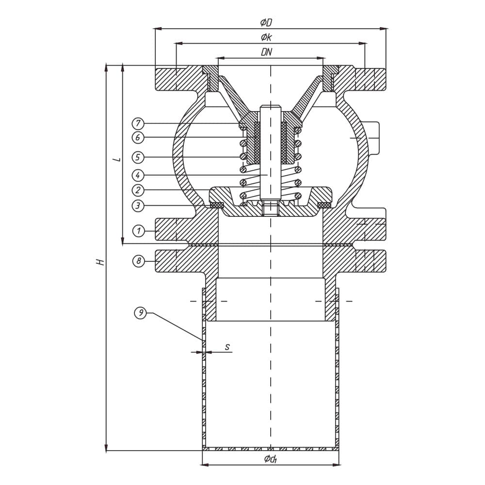 Foot Valves With Spring (2)
