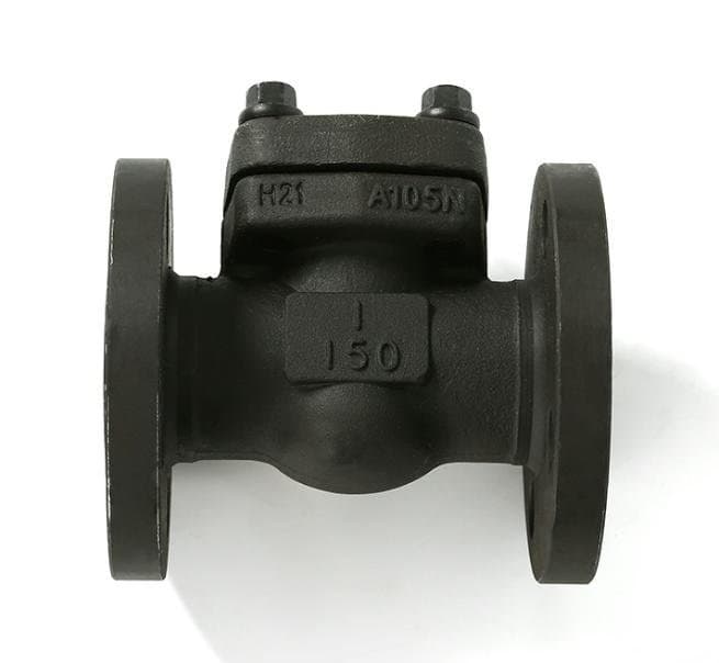 Forged Steel Check Valve (2)