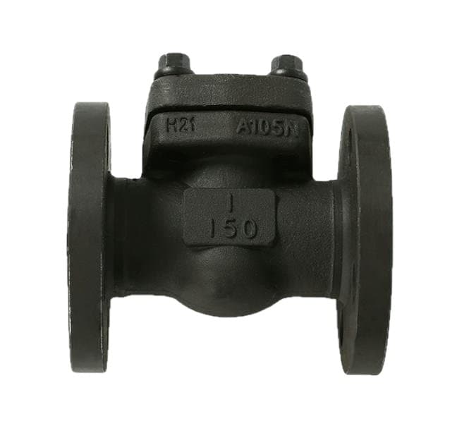 Forged Steel Check Valve