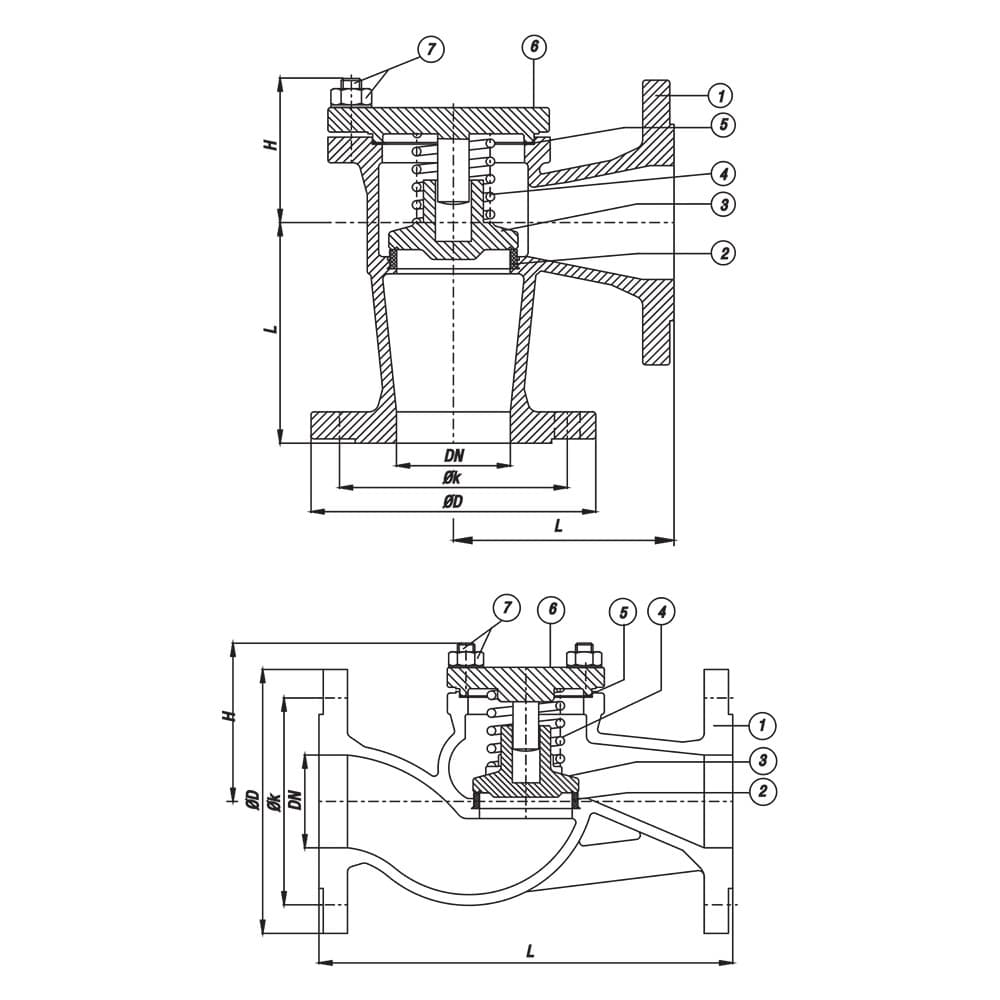 Lift Type Check Valve (Marine) (2)