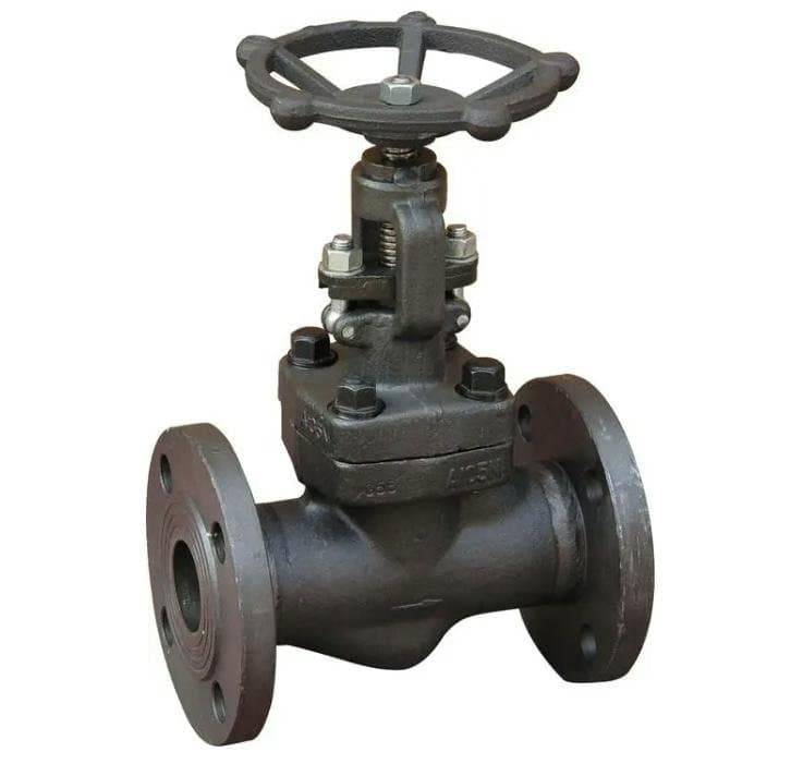 Forged Steel Globe Valve