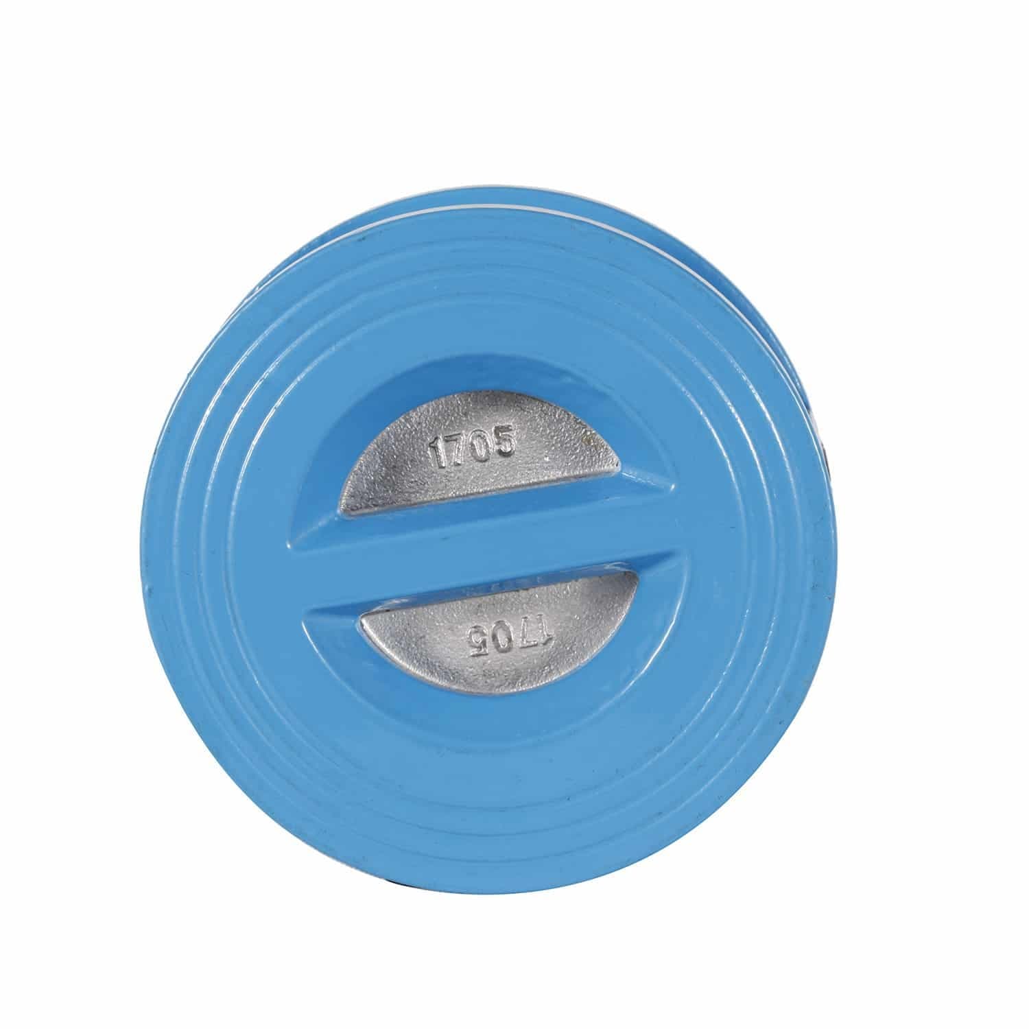 Dual Plate Wafer Check Valve (3)