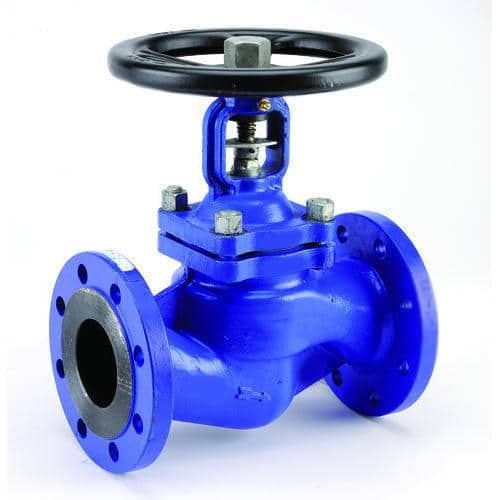 Globe Valve ANSI B16.10 (7)