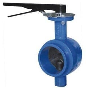 Grooved end butterfly valve (9)