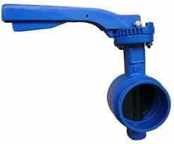 Grooved end butterfly valve (10)
