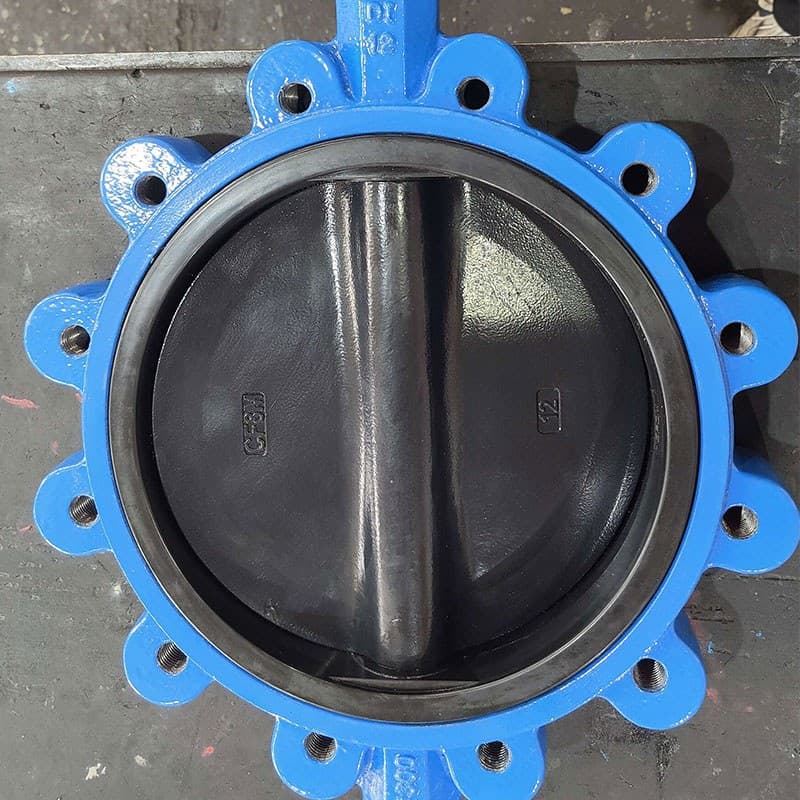 HALAR Spraying Lug butterfly valve (2)