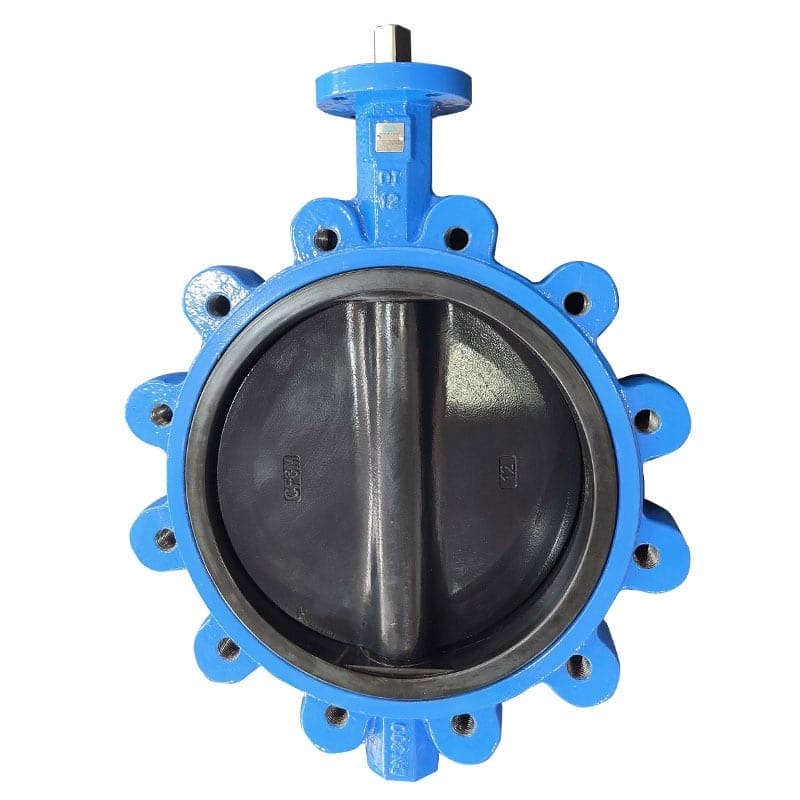 HALAR Spraying Lug butterfly valve