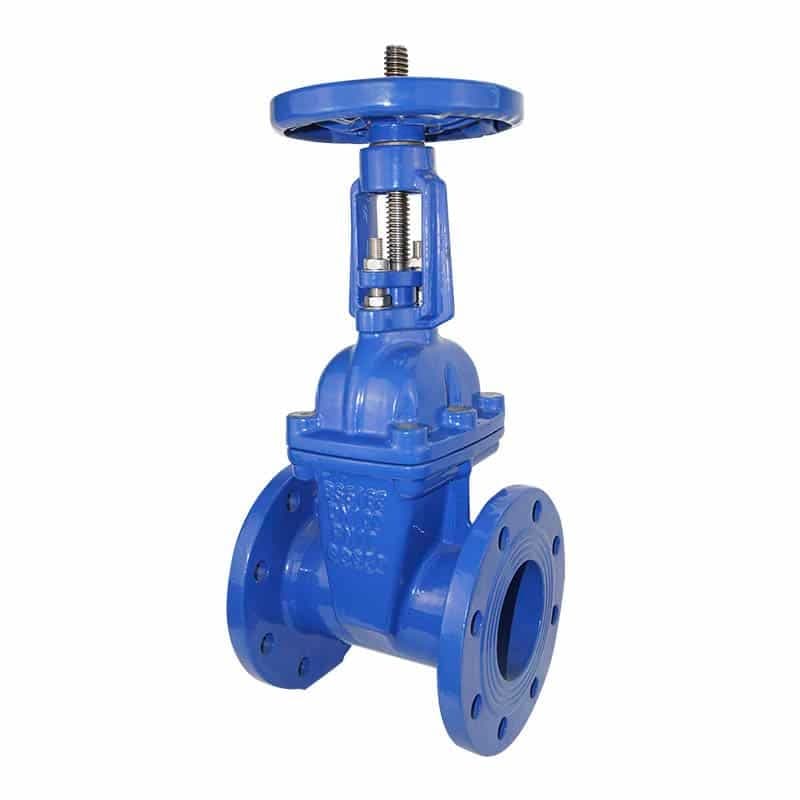 Rising Stem Resilient Seat Gate Valve