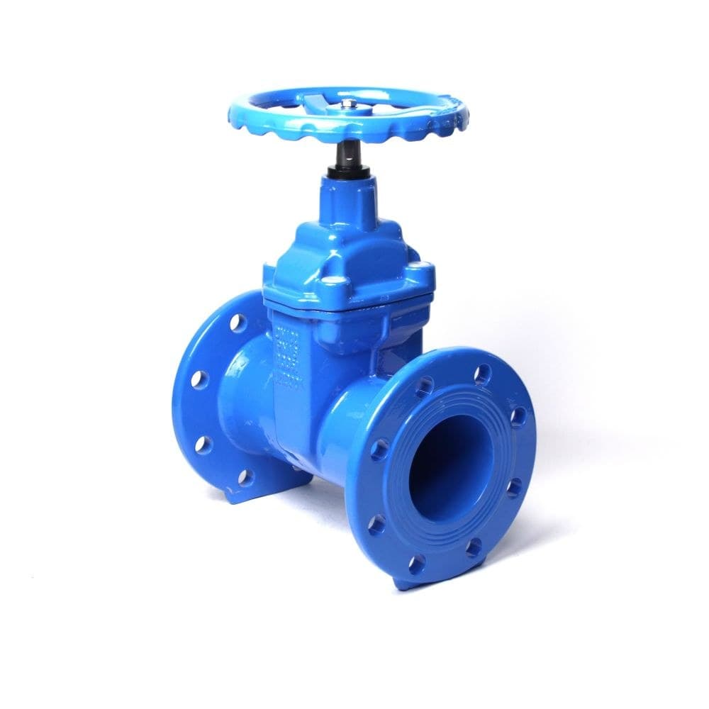 Resilient Seated Gate Valve (9)