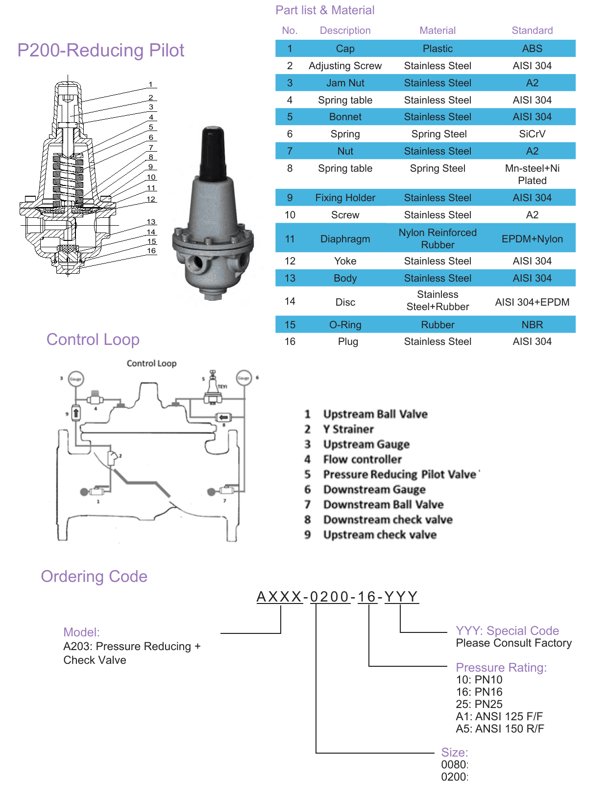 A203 Pressure Reducing with Check Valve (4)