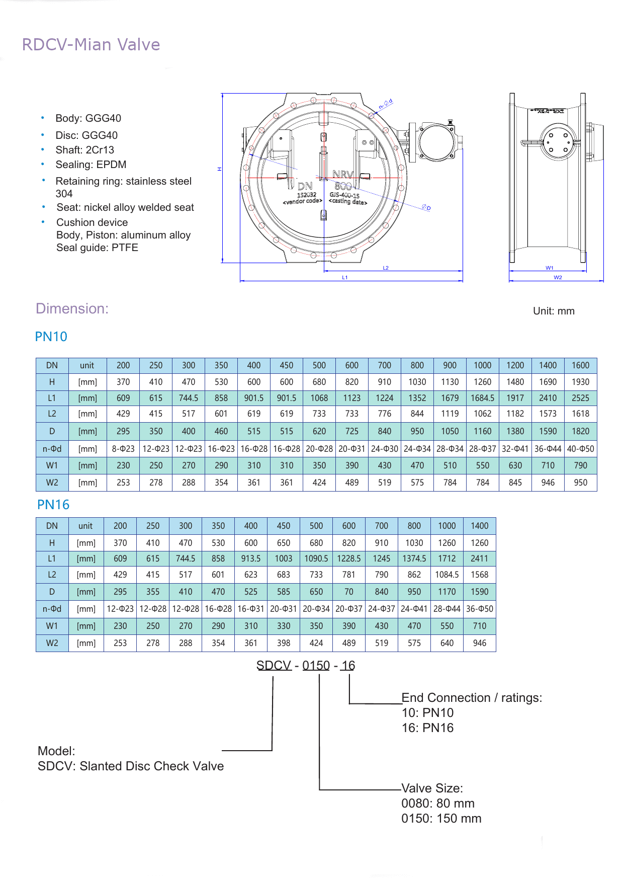 SDCV – Slanted Disc Check Valve (2)