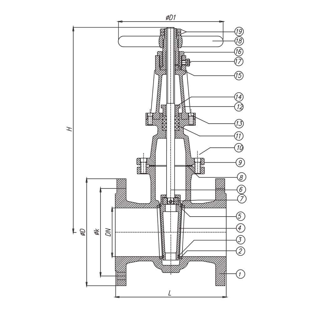 Rising Stem Gate Valve (2)