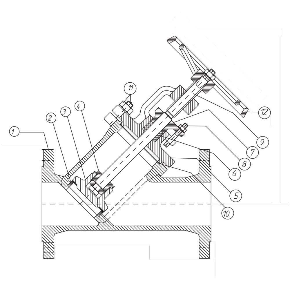 Y Type Cast Steel Globe Valve (2)