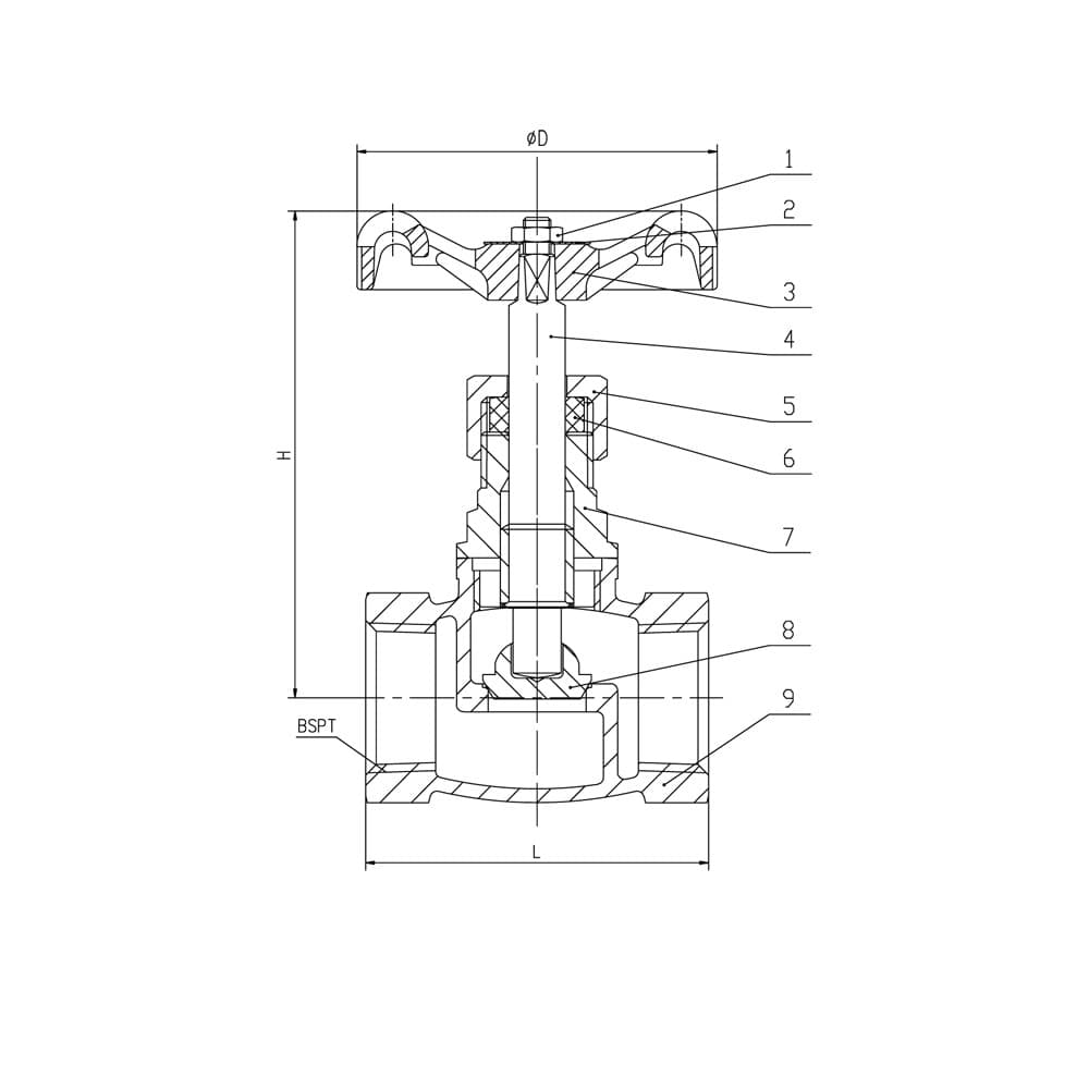 Bronze SDSL Globe Valve - BSPT (2)