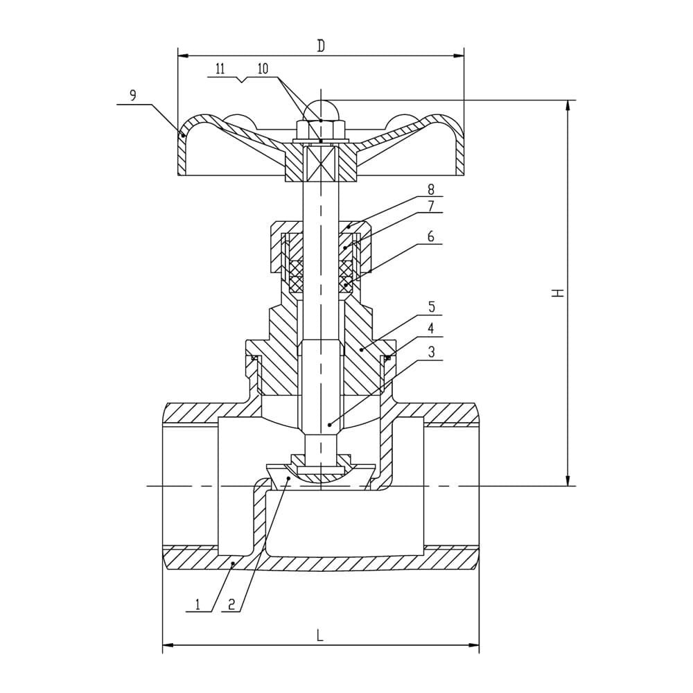 SS SDSL Globe Valve - BSP (2)