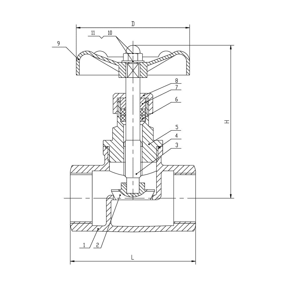 SS SDNR Globe Valve - BSP (2)