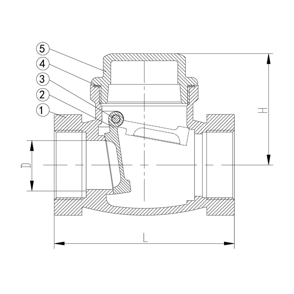 SS Swing Check Valve - BSP (2)