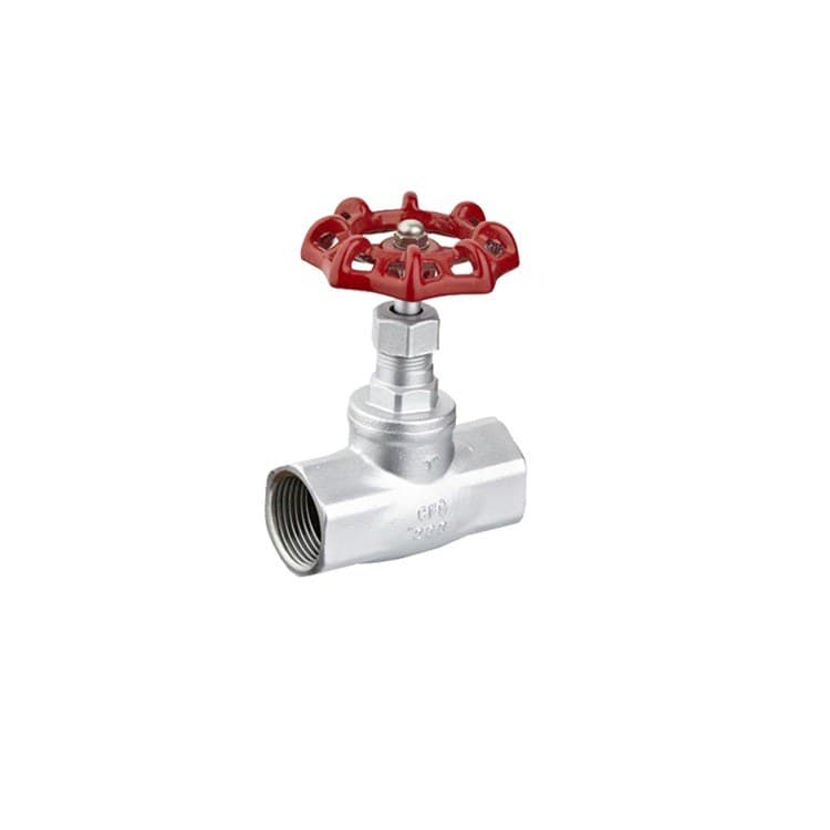 Globe Valve